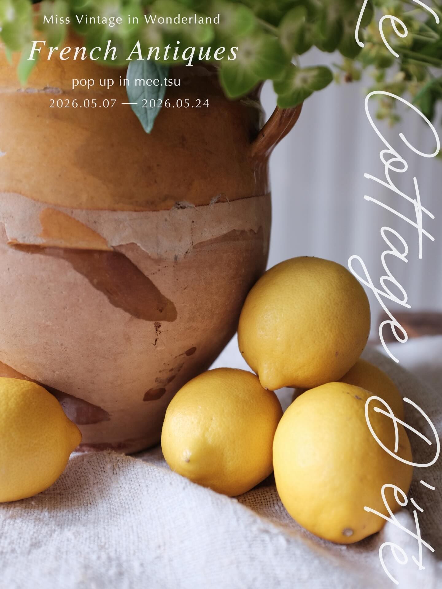 french-antiques-and-brocante-1